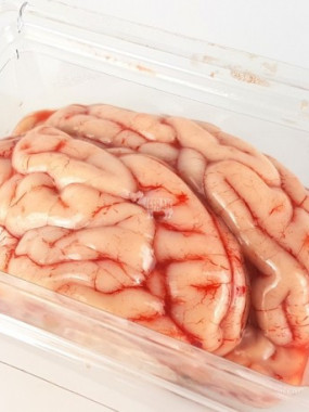 cervelle de porc